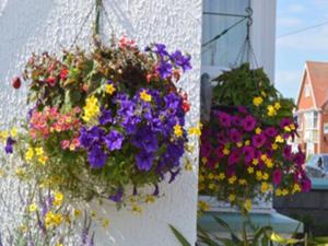 a bunch of flowers hanging on a wall at White Heather Guest House in Mablethorpe
