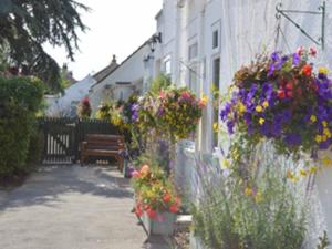 a bunch of flowers on the side of a building at White Heather Guest House in Mablethorpe