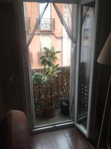 a window view of a balcony with potted plants at T3 proche Castillet in Perpignan