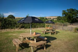 zwei Picknicktische mit einem Regenschirm auf dem Rasen in der Unterkunft The Golden Lion Inn in Denbigh