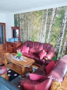 Posezení v ubytování Apartman Luka