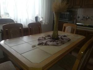Kuchyň nebo kuchyňský kout v ubytování Apartman Luka