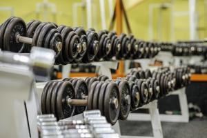 Fitness centrum a/nebo fitness zařízení v ubytování Hotel Harmonie