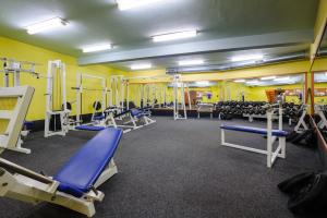 a gym with rows of tread machines and weights at Hotel Harmonie in Zastávka