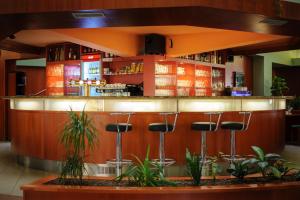 Lounge nebo bar v ubytování Hotel Harmonie