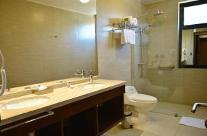 y baño con lavabo, aseo y espejo. en Hotel Manso de Velasco, en San Fernando