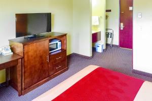 Habitación con TV y escritorio con alfombra roja. en Rodeway Inn Willamette River, en Corvallis