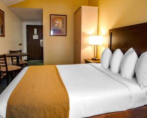 Postel nebo postele na pokoji v ubytování Quality Inn & Suites