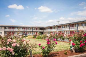 una vista exterior de un edificio con rosas en Rodeway Inn Albany, en Albany