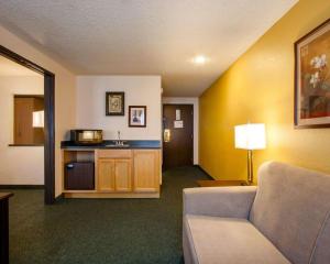 Posezení v ubytování Quality Inn & Suites