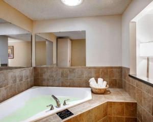 Koupelna v ubytování Quality Inn & Suites