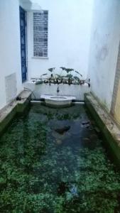 Πισίνα στο ή κοντά στο Villa Giannì