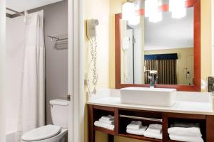 a bathroom with a sink and a toilet and a mirror at Escape Inn Hershey in Hershey