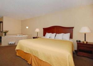 Habitación de hotel con 1 cama grande y 2 lámparas en Quality Inn & Suites, en Danville