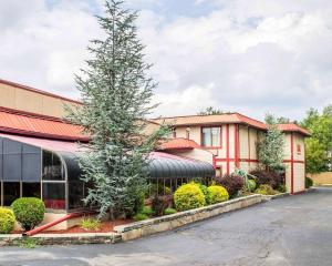 a building with a tree in the front of it at Econo Lodge Scranton near Montage Mountain in Scranton