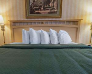 a group of white pillows on a bed in a hotel room at Quality Inn Barkeyville in Barkeyville