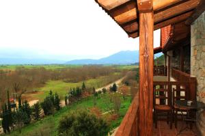 Príroda v okolí hotela