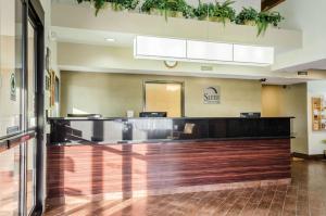 a lobby with a waiting area with plants on the ceiling at Sleep Inn & Suites Bensalem in Bensalem
