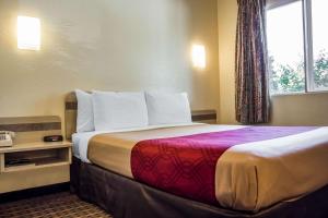 מיטה או מיטות בחדר ב-Econo Lodge