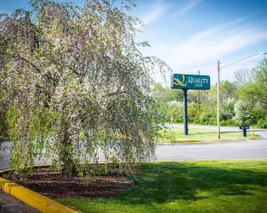 a tree with white flowers on it next to a street at Quality Inn New Columbia-Lewisburg in New Columbia