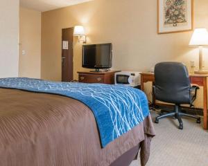 a hotel room with a bed and a desk and a television at Rodeway Inn in Mercer +15 photos