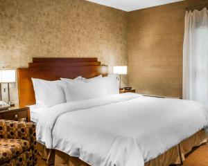 
a hotel room with a bed, chair, and nightstand at The Woodlands Inn, Ascend Hotel Collection in Wilkes-Barre
