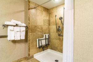 a bathroom with a sink, toilet and shower stall at Clarion Inn Pittsburgh Cranberry in Cranberry Township