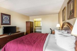 Habitación de hotel con cama y TV de pantalla plana. en Quality Inn Easley en Easley