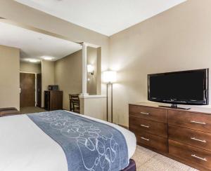 Televisi dan/atau pusat hiburan di Comfort Suites at Isle of Palms Connector