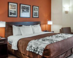 a large bed in a hotel room with two lamps at Sleep Inn North Charleston Ashley Phosphate in Charleston