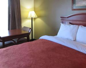 een hotelkamer met een bed, een bureau en een lamp bij Rodeway Inn Walterboro I-95 in Walterboro
