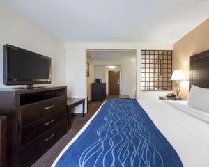 Een bed of bedden in een kamer bij Comfort Inn Oak Ridge - Knoxville