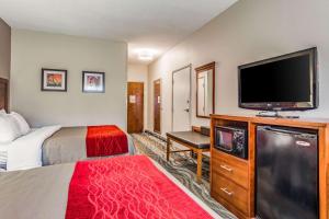 Gallery image of Comfort Inn & Suites Lookout Mountain in Chattanooga