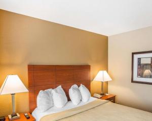 Łóżko lub łóżka w pokoju w obiekcie Quality Inn & Suites Mt. Juliet