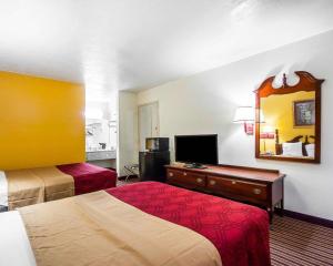 DyersburgにあるEcono Lodgeのベッド2台と鏡が備わるホテルルームです。