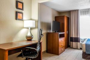 TV a/nebo společenská místnost v ubytování Comfort Inn & Suites Airport-American Way Memphis