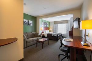 A seating area at Sleep Inn & Suites