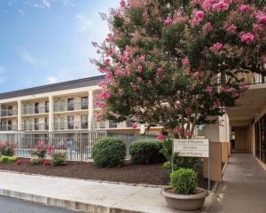 un árbol frente a un edificio con flores rosas en Quality Inn Merchants Drive, en Knoxville