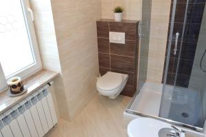 グニェズノにあるApartament Parkowy Piątkaのバスルーム(トイレ、ガラス張りのシャワー付)