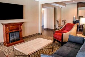 a living room with a couch and a fireplace at Comfort Suites New Braunfels - San Antonio Area in New Braunfels