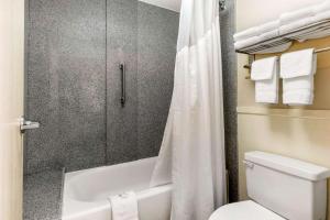 a bathroom with a tub and a toilet and a shower at Quality Inn Airport I-240 in Memphis