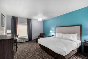 Postel nebo postele na pokoji v ubytování Clarion Inn & Suites DFW North