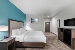 Postel nebo postele na pokoji v ubytování Clarion Inn & Suites DFW North