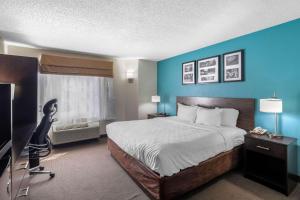 Imagen de la galería de Clarion Inn & Suites DFW North, en Irving