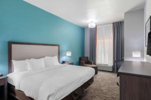Postel nebo postele na pokoji v ubytování Clarion Inn & Suites DFW North