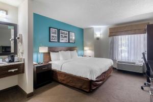 Postel nebo postele na pokoji v ubytování Clarion Inn & Suites DFW North