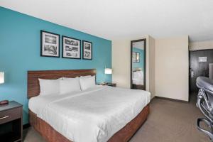 Postel nebo postele na pokoji v ubytování Clarion Inn & Suites DFW North