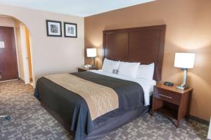 Postel nebo postele na pokoji v ubytování Comfort Inn North Conroe
