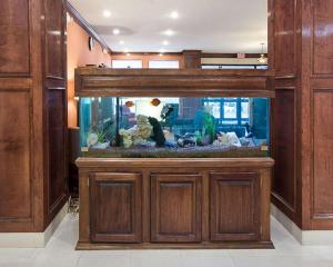a large aquarium with a man in the middle at Comfort Inn & Suites Houston West-Katy in Katy +18 photos