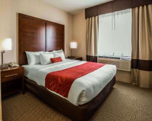 Gallery image of Comfort Suites Stafford Near Sugarland in Stafford +23 photos